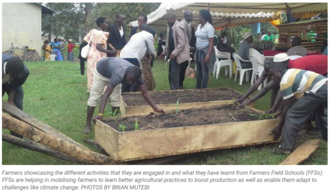 farmer_field-school