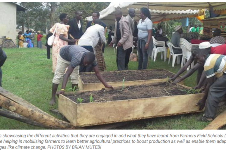 farmer_field-school